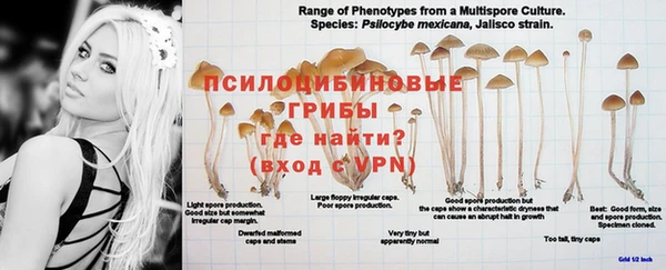 индика Лиски