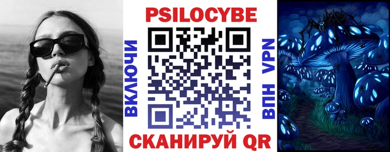 Псилоцибиновые грибы GOLDEN TEACHER Купить закладки Киров